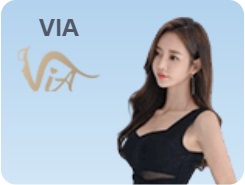zj3979net live game mobile 20